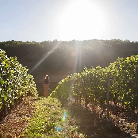 La Mare Aux Oiseaux, The Originals Collection Saint-Joachim